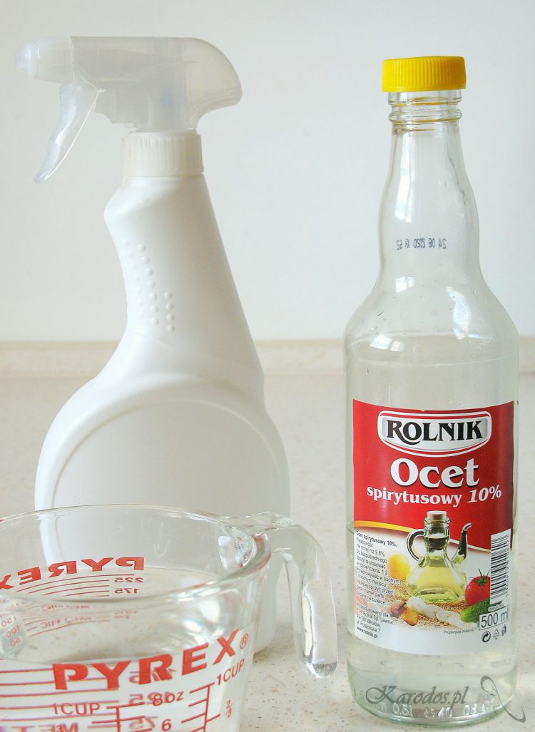 domowe srodki czystosci