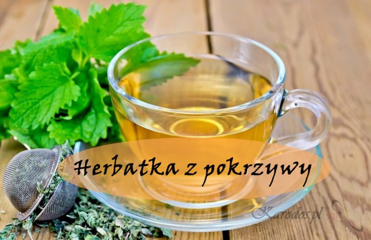 herbatka z pokrzywy