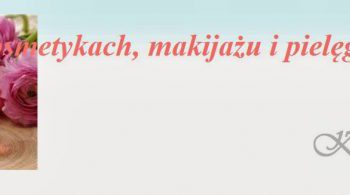 Zmiana adresu bloga na karodos.pl