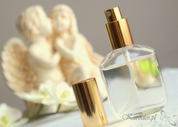 Perfumy Orlean – Calvin Klein Obsession Night (No 098)