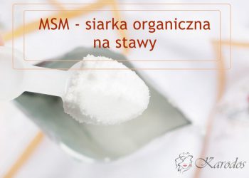MSM - siarka organiczna na stawy