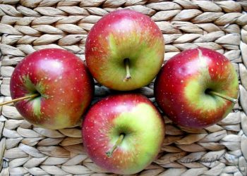 Ocet jabłkowy - właściwości lecznicze