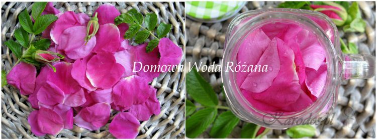 najprostsza domowa woda z platkow roz