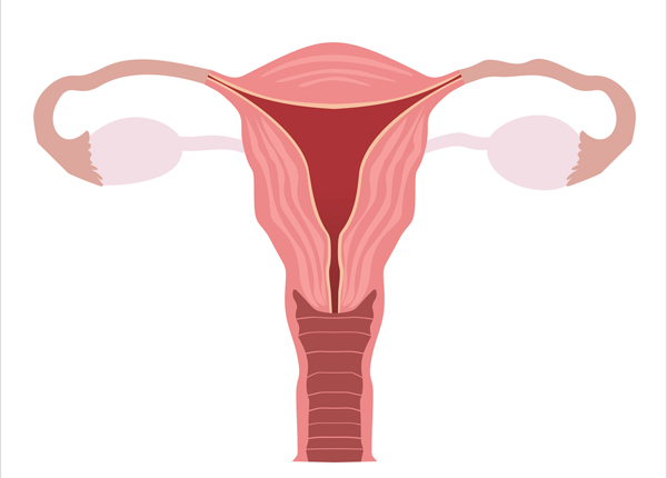 urlop menstruacyjny